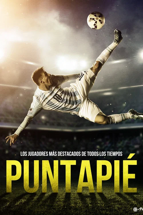 Puntapi&eacute;