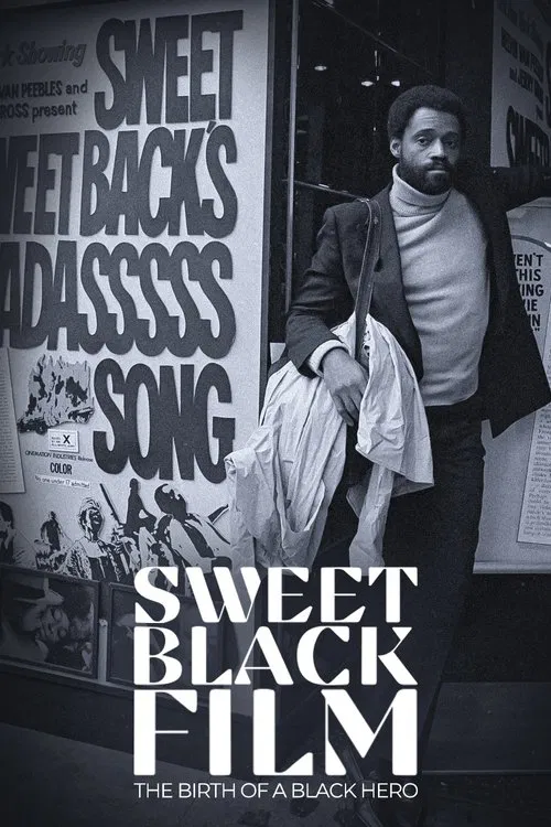 Naissance d'un h&eacute;ros noir au cin&eacute;ma : Sweet Sweetback