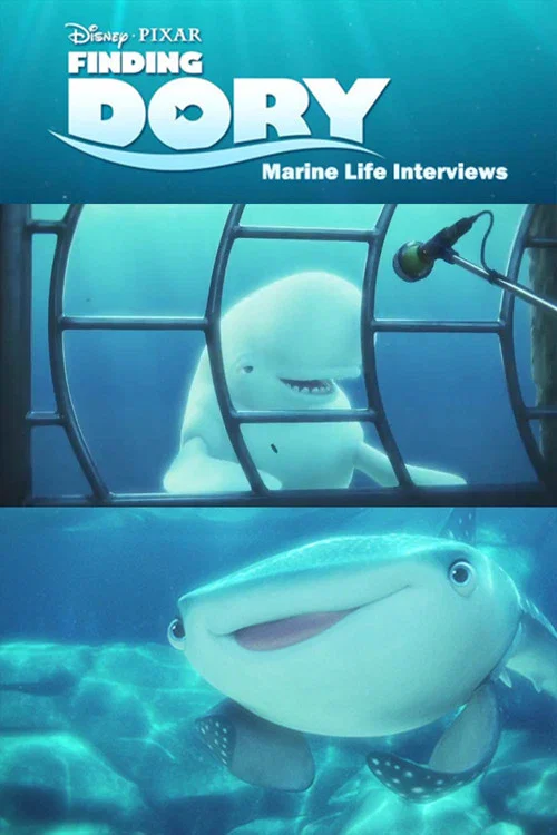 海洋生物访谈