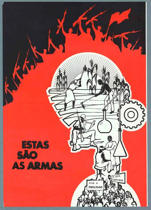 Estas s&atilde;o as armas