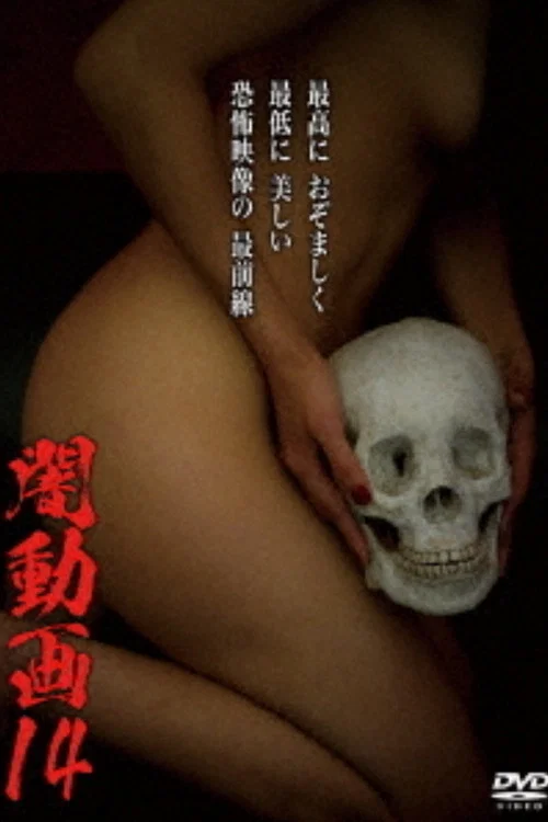暗动画14