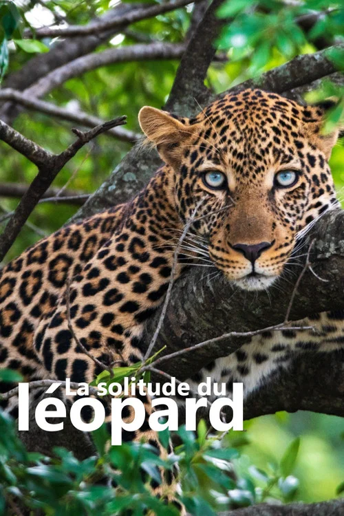 La solitude du l&eacute;opard