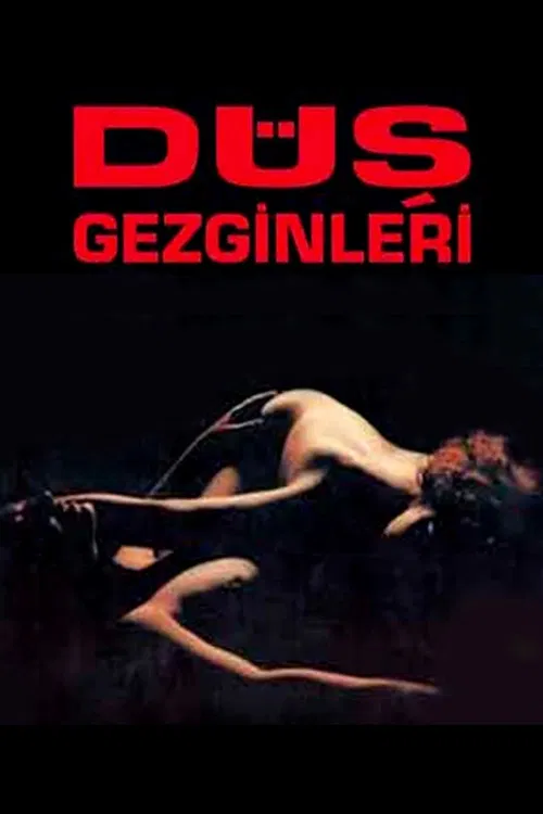 D&uuml;ş Gezginleri