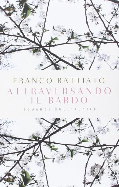 Attraversando il Bardo: Sguardi sull'Aldil&agrave;