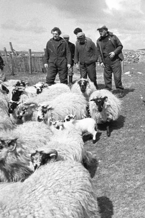 C&igrave;obairean Bhearnaraidh
