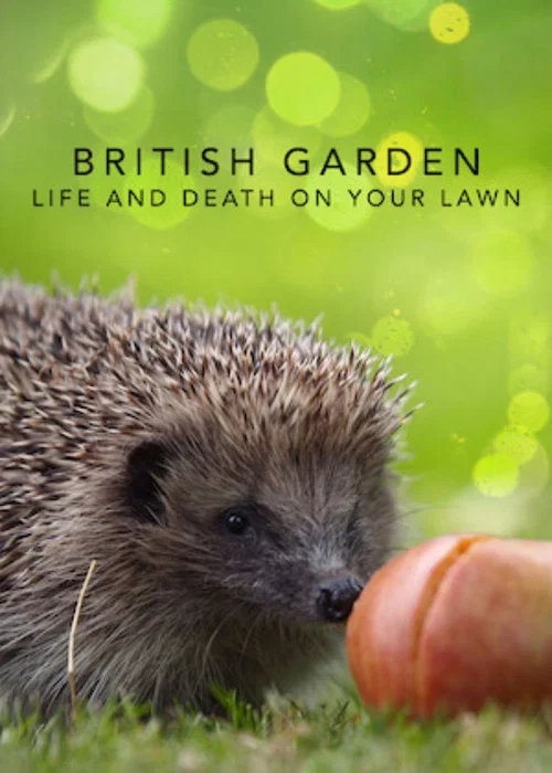 英国花园：草坪上的生与死