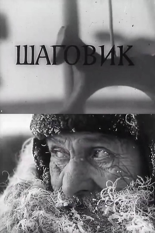 Шаговик