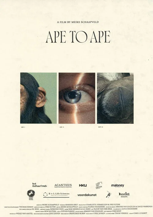 Aap tot Aap