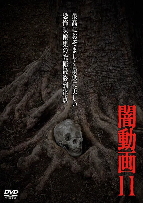 暗动画11