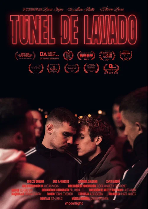T&uacute;nel de lavado