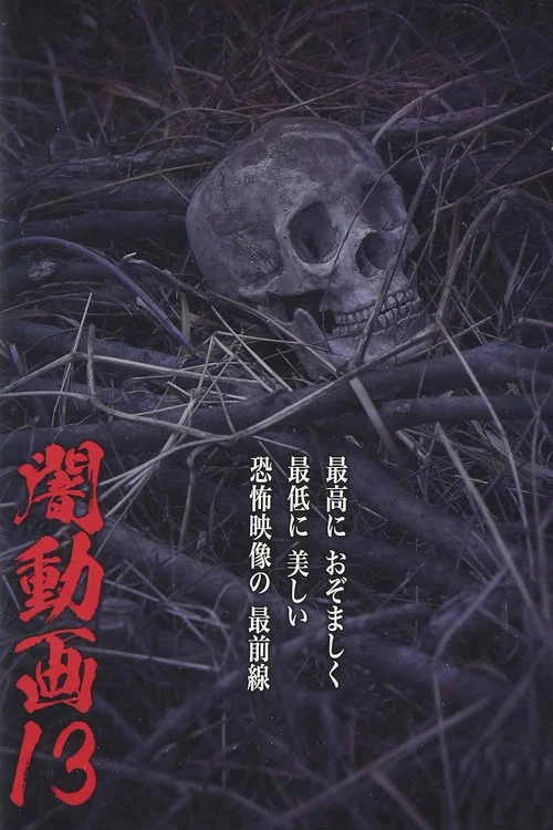 暗动画13