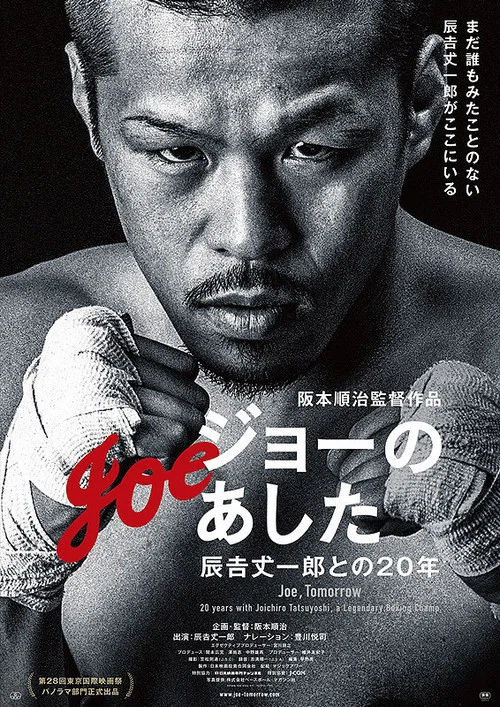 丈之明日：辰吉丈一郎的20年
