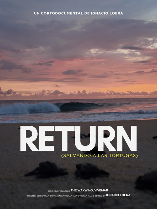 Return: Salvando a las Tortugas