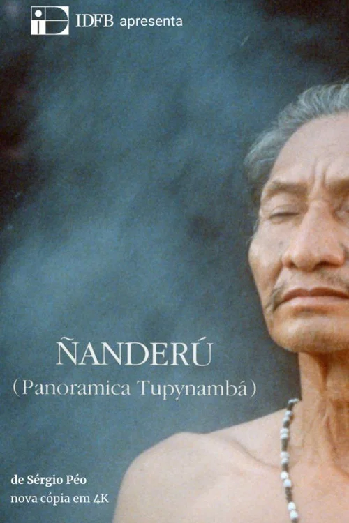 &Ntilde;ander&uacute; - Panor&acirc;mica Tupinamb&aacute;