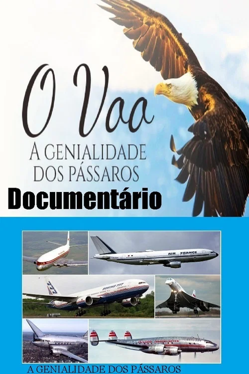 Document&aacute;rio O voo