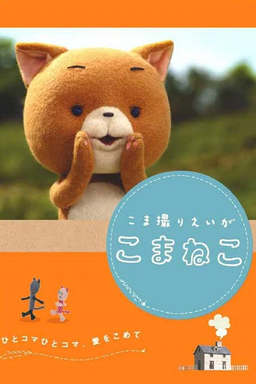 追逐拍摄的可玛猫