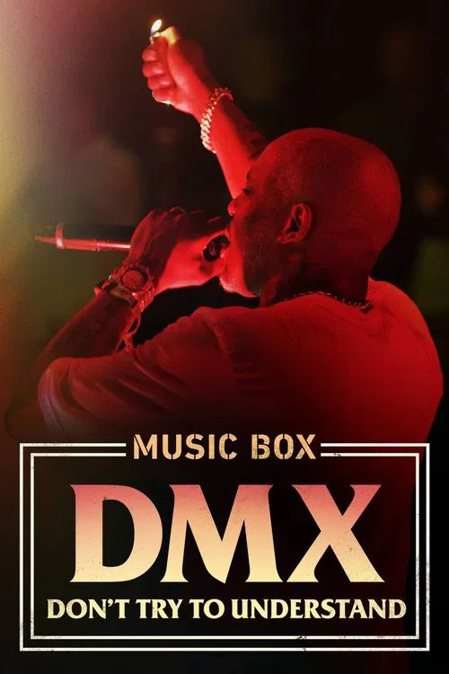 DMX：别想理解
