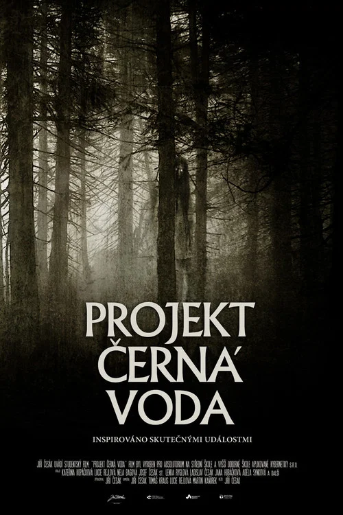Projekt Čern&aacute; Voda
