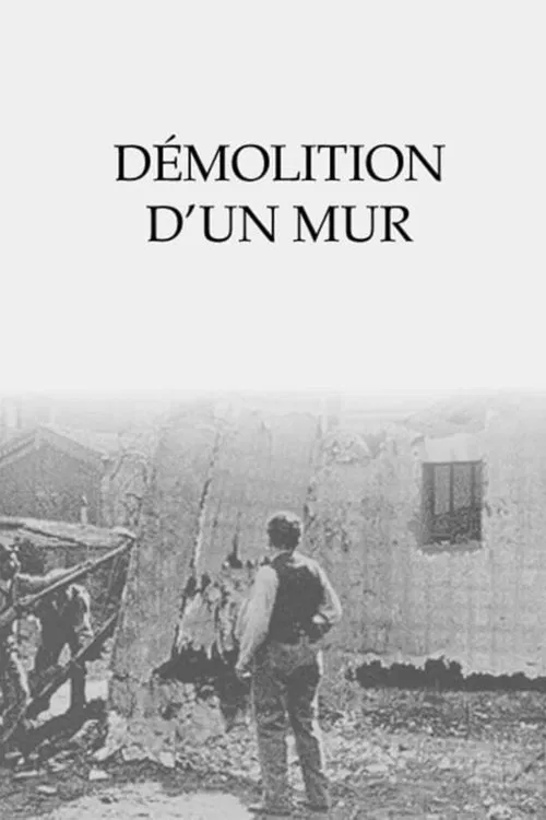 D&eacute;molition d'un mur