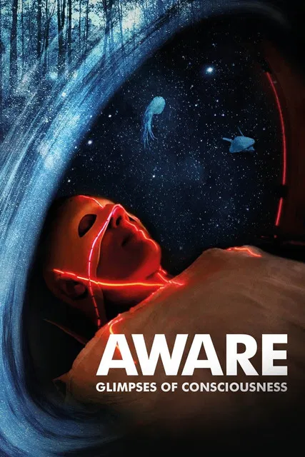 Aware &ndash; Reise in das Bewusstsein