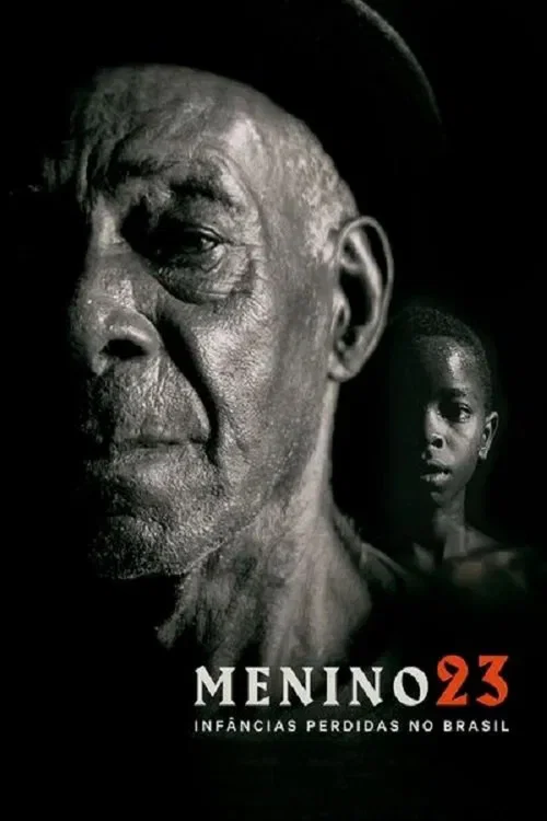 Menino 23: Inf&acirc;ncias Perdidas no Brasil