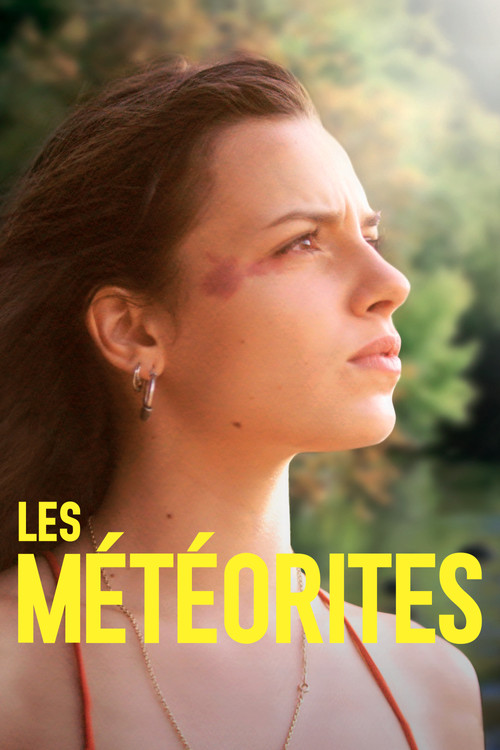 Les M&eacute;t&eacute;orites