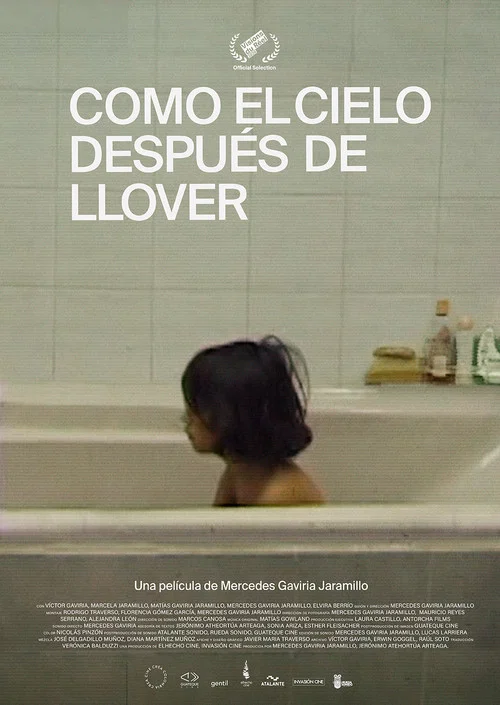Como el cielo despu&eacute;s de llover