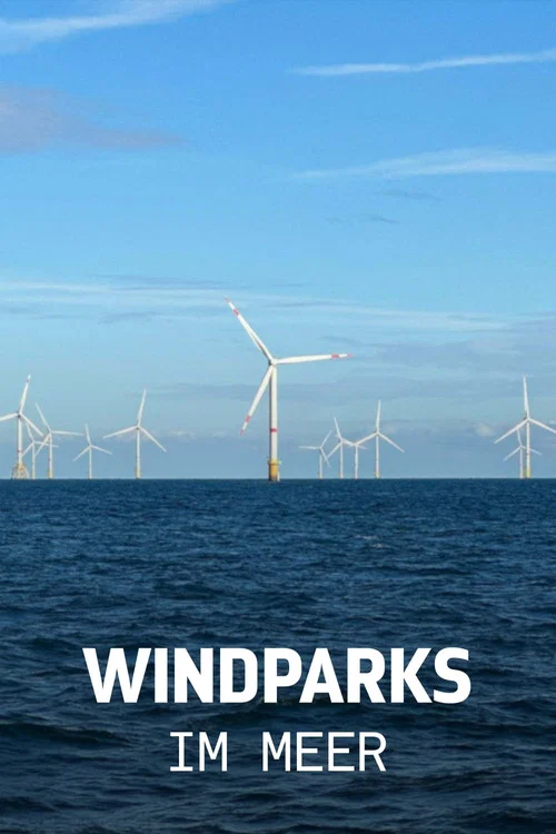 Windparks im Meer - Chance oder Risiko f&uuml;r die Natur?
