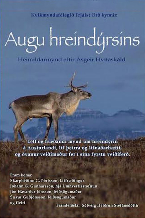 Augu Hreind&yacute;rsins