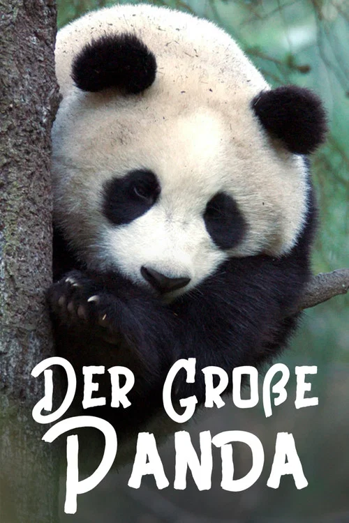 Der Gro&szlig;e Panda