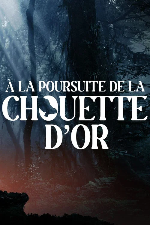&Agrave; la poursuite de la chouette d'or