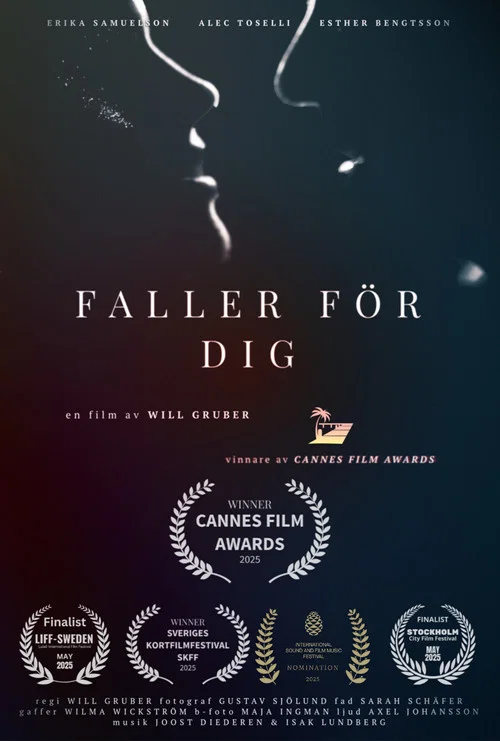 Faller F&ouml;r Dig
