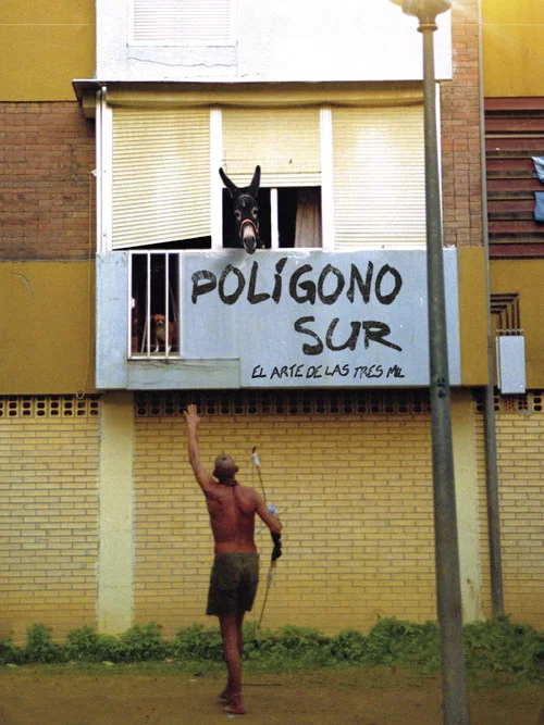 Pol&iacute;gono Sur