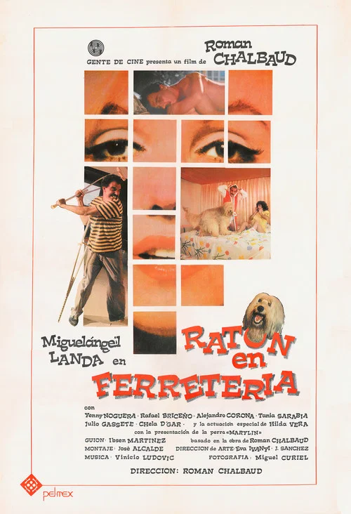 Rat&oacute;n en Ferreter&iacute;a