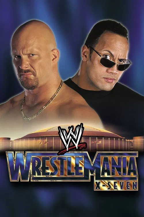WWE 摔角狂热 17