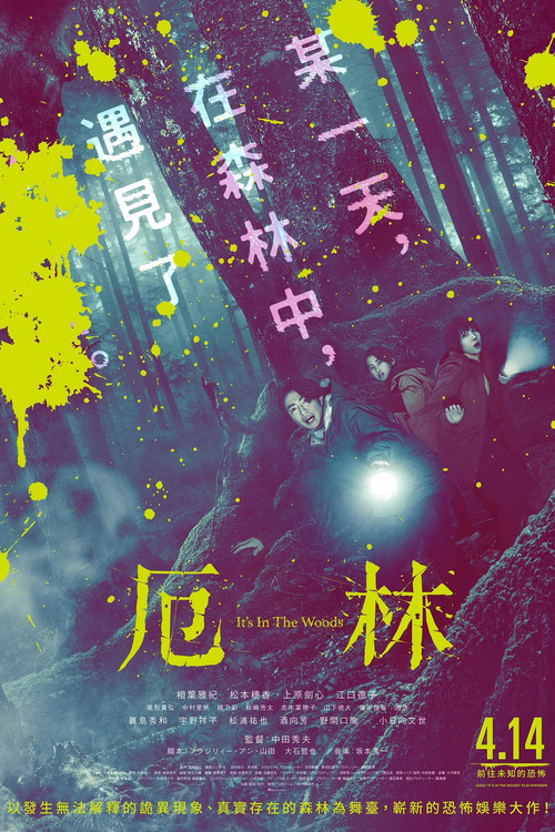 &ldquo;那个&rdquo;所在的森林