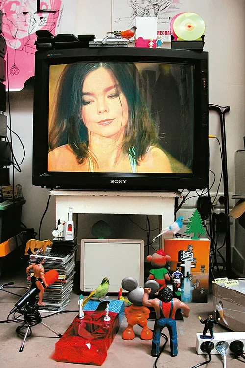 Bj&ouml;rk: MTV Unplugged 1994