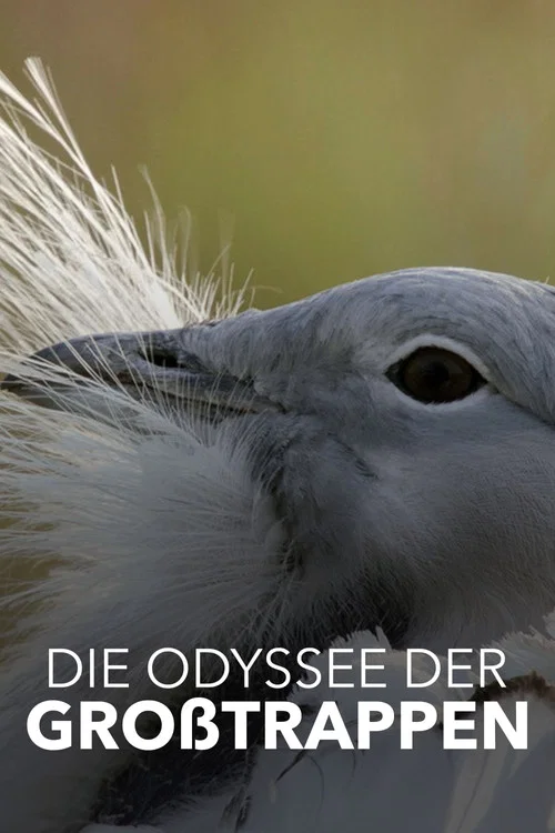 Die Odyssee der Gro&szlig;trappen - Das Comeback der Riesenv&ouml;gel