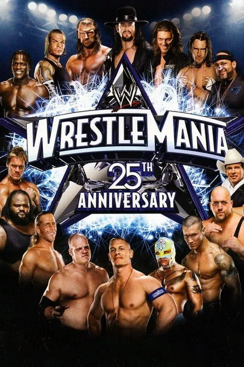 WWE 摔角狂热 25