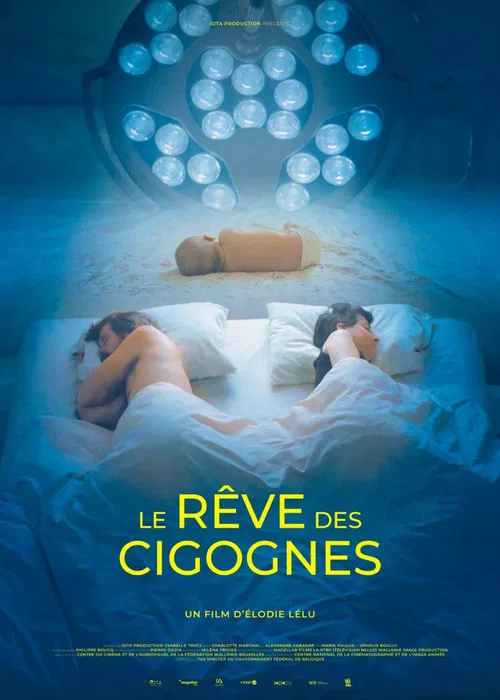 Le r&ecirc;ve des cigognes