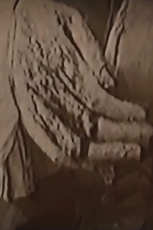 Silencio Dei Morti