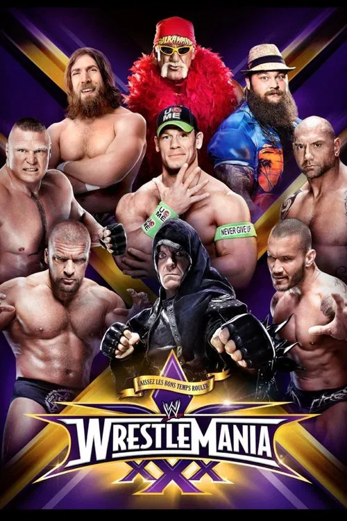 WWE 摔角狂热 30