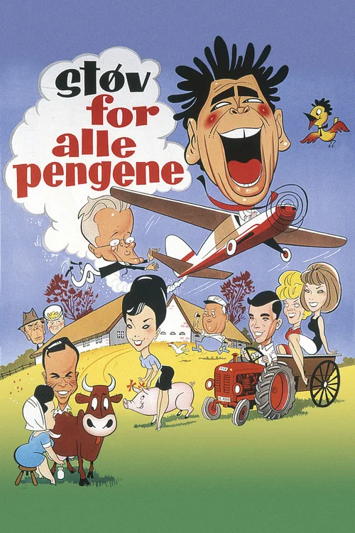 St&oslash;v for alle pengene