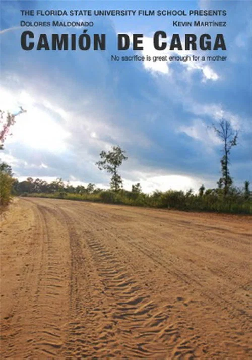 Cami&oacute;n de Carga