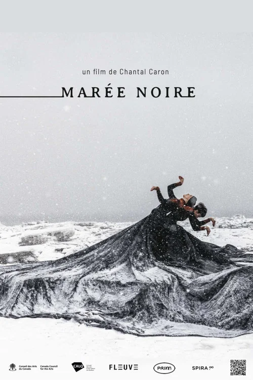 Mar&eacute;e noire