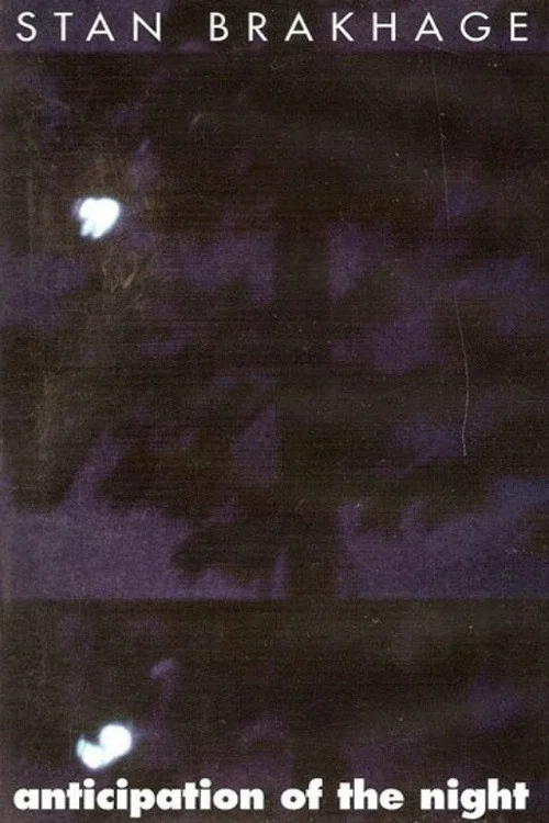 夜晚的预期