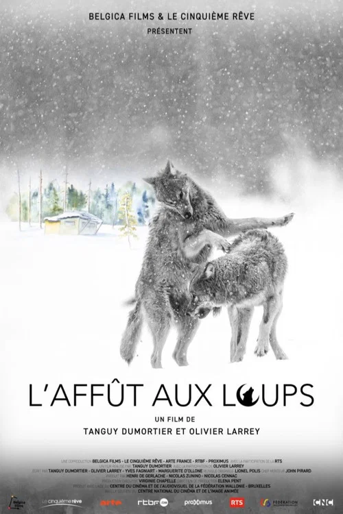 L'Aff&ucirc;t aux loups