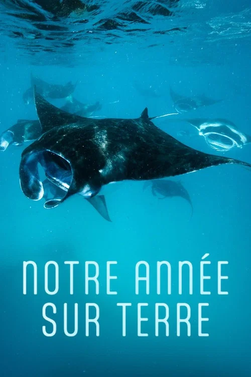 Notre ann&eacute;e sur Terre