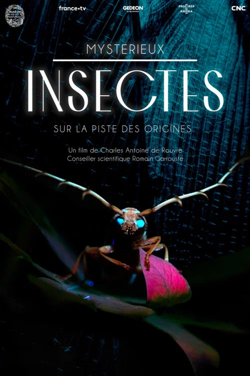 Myst&eacute;rieux insectes, sur la piste des origines