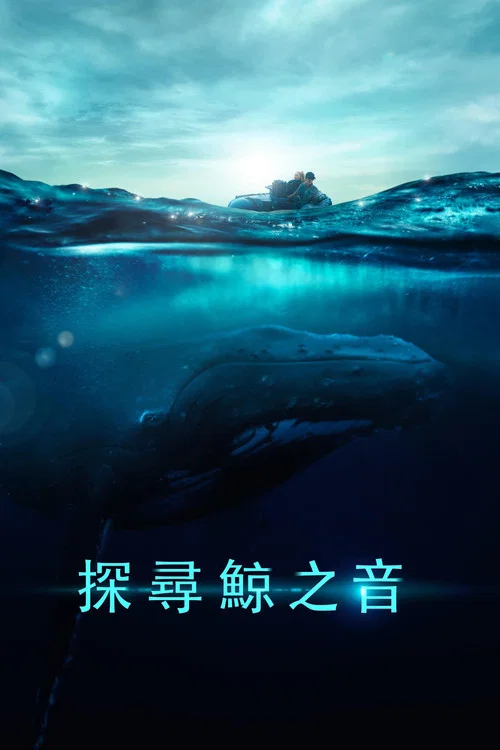 探寻鲸之音